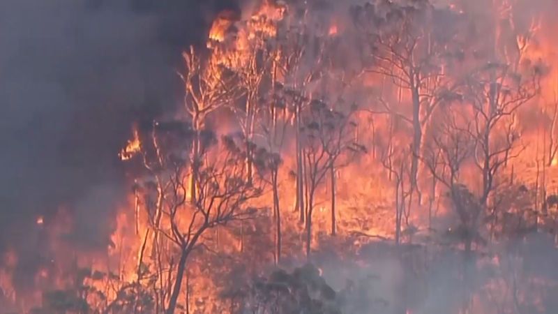 V Austrálii vyhlásili výjimečný stav kvůli požárům, lidé v Sydney nosí roušky